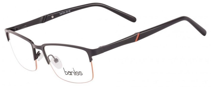 BANISS BR6036